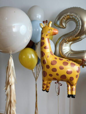 Сет из шаров «Окапи»